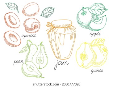 A set of elements in the doodle style. Jam in a jar, apples, apricots, pears, quinces. Outline, illustration, autumn coloring.