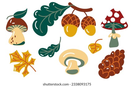 A set of elements embodying autumn in the forest. Pine cone, acorn, fly agaric, champignon, aspen, autumn foliage are isolated on a white background. Collection of autumn forest elements