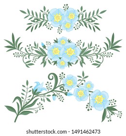 Set of elements from flowers and plants on a white background.