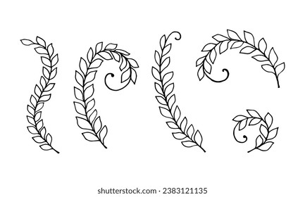 Set of elements forest herb  decorative creeping plant. Black outline. Isolated objects on a white background.Vector illustration.