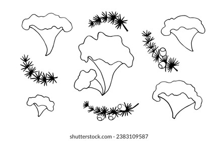 Set of elements forest plant juniper and chanterelle mushroom. Black outline. Isolated objects on a white background.Vector illustration.