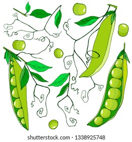 set of elements of fruits and leaves, stalks of peas