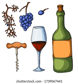 Set of elements from grapes, corkscrew, wine bottle, wine glass. Hand-drawn illustration. Color illustration isolated on a white background.