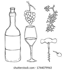 Set of elements from grapes, corkscrew, wine bottle, wine glass. Hand-drawn illustration. Black and white illustration isolated on a white background.