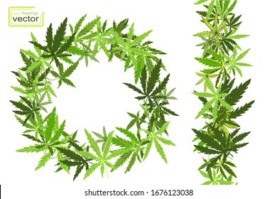 Set of elements with green leaves of hemp drawn by hand, isolated on a white background. Round frame and vertical seamless border with hemp. Labeling for products with hemp oil or cosmetics with hemp.