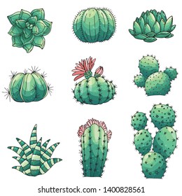 Set of elements with hand drawn colored cacti and succulents. Vector icons in colorful sketch style. Sketch style isolated objects