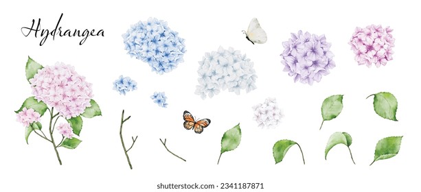 Set of elements hand-painted watercolor with multicolored bouquets, stems and leaves of hydrangea bouquets and butterfly. Vector isolated on white background.