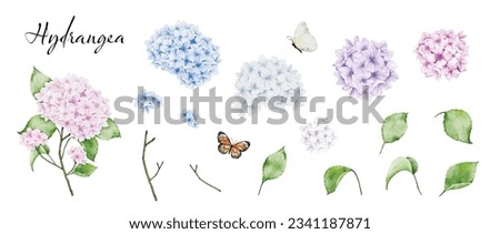 Similar – Image, Stock Photo Hydrangea blossom white