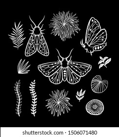 Set of elements. Moths in the night garden. Witch's garden. Butterflies, plants and herbs. Linear black and white illustration. Floristic oranment. Botanical illustration.