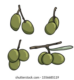 Set of elements with olive branches, with leaves and berries. Green olives are drawn by hand. Collection of objects isolated on a white background. black stroke elements. Olive tree for background