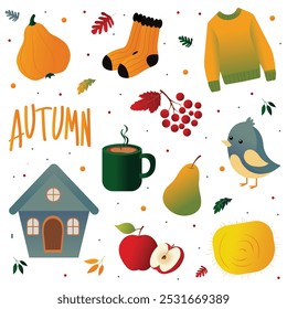 Set of elements on an autumn theme. Vector.