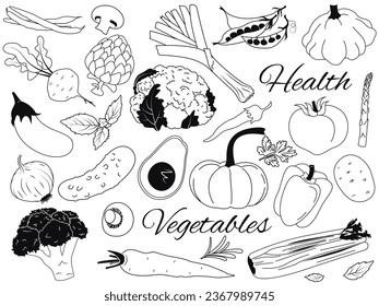  A set of elements on the theme of vegetables, healthy eating: cauliflower, green beans, basil, squash, celery, avocado, parsley, artichoke, asparagus, parsley. Vector illustration in doodle style.