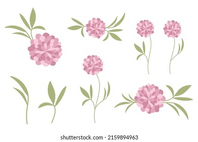 set of elements of peony colors. vector illustration