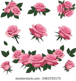 set elements of pink roses with green leaves