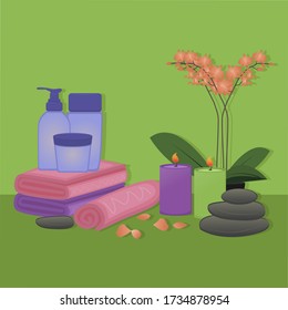 A set of elements for the Spa. Vector illustration on a green background