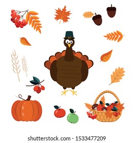 Set of elements for Thanksgiving-autumn leaves, basket with harvest, Turkey. Vector graphics