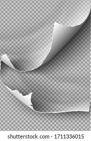 set of elements torn paper on transparent background