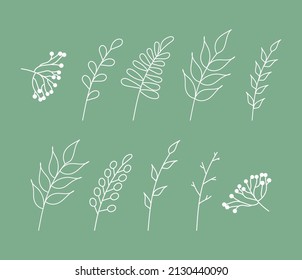 Satz von Zweigen mit Blättern. Line Art. Handgezeichnet im Stil von Doodles. Pflanzen-Früchte mit Blattpflanzen und Beeren, weiße Umrisse auf grünem Hintergrund für Design-Vorlagen. Vektorgrafik