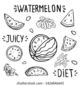 Set of elements of watermelon, watermelon slices, leaves, flower, watermelon seeds, diet and juicy words written by hand. Summer illustration in doodle style.