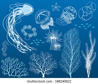 Set of elements for your design: corals, sea anemone, jellyfishes, algae, shoals of fishes, sea horse and sea star.