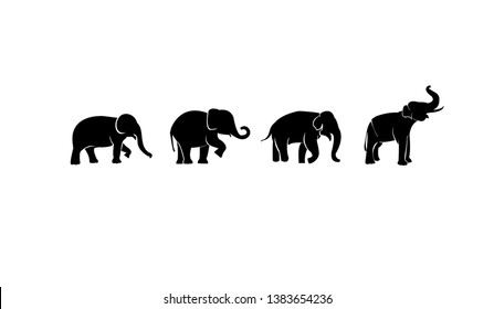 set elephant black logo icon designs vector illustration sign silhouette