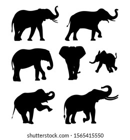 Set of Elephant. Black Silhouettes on white. Vector illustration.