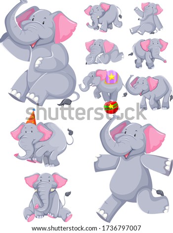 Similar – Image, Stock Photo wildcat elephant;)