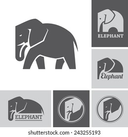 Set of elephant icons and symbols on white and dark backgrounds