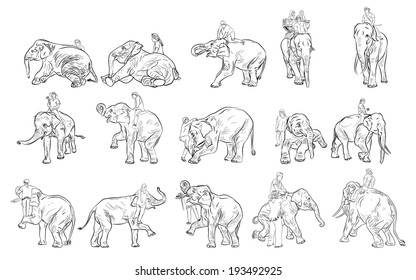 Set of elephant show and training with mahout