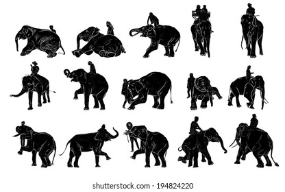 Set of elephant show and training with mahout