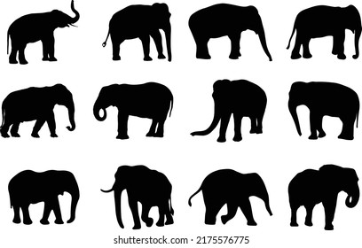 The set of the Elephant silhouette collection