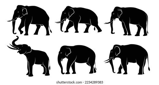 Set of elephant silhouettes in different poses of african elephant or jungle elephant and asian elephant with big ears - vector illustration