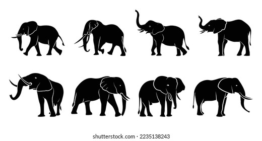 Juego de siluetas de elefantes en diferentes poses de elefante africano o elefante de la jungla y elefante asiático con orejas grandes - ilustración vectorial