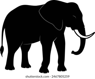 Set of elephant silhouettes in different poses of african elephant or jungle elephant and asian elephant with big ears - vector illustration.