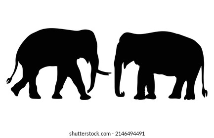 set of elephant silhouettes. Elephant shadow hand drawn. Flat vector illustration.