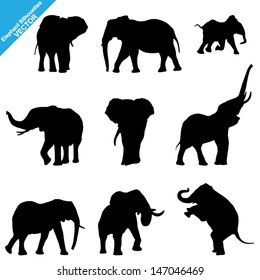 Set of Elephant Silhouettes. Vector Illustration