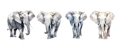 Set Of Elephant Watercolor Isolated On White Background. Vector Illustration