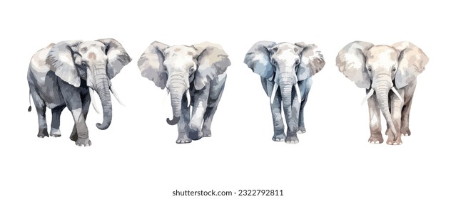 Conjunto de acuarela de elefante aislada sobre fondo blanco. Ilustración del vector
