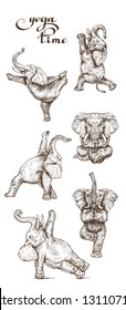 set of elephants doing yoga in various poses. symbol of a healthy lifestyle illustration style engraving for your design vector