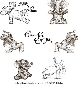 conjunto de elefantes haciendo yoga en varias poses ilustrativas al estilo del vector grabador