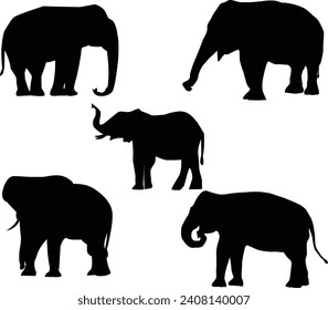 set of elephants silhouettes-set of elephants