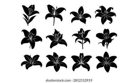 A set of eleven black and white lily flower silhouettes showcasing different shapes and styles for design and artistic projects.