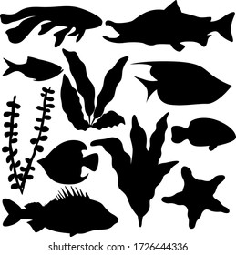 A set of eleven elements of the sea world. Set for various purposes magazine, poster, website, and more. Fish, seaweed, starfish. Vector illustration.