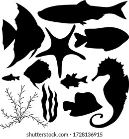 A set of eleven elements of the sea world. Set for various purposes magazine, poster, website, and more. Fish, seaweed, seahorse, starfish. Vector illustration.