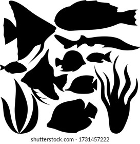 A set of eleven elements of the sea world. Set for various purposes magazine, poster, website, and more. Fish, algae. Vector illustration.
