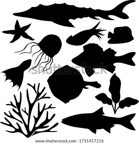 A set of eleven elements of the sea world. Set for various purposes magazine, poster, website, and more. Fish, algae, jellyfish. Vector illustration.