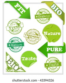 Set of eleven green labels with words: organic, fit, bio, pure, taste and nature