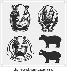 Set of emblems with hippo for a sport team. Print design for t-shirts.