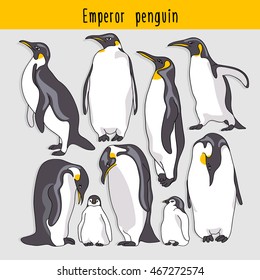 Set Of A Emperor Penguin. Vector Illustration.