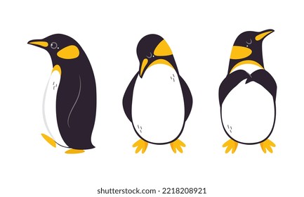 Set of emperor penguins in different poses. Cute antarctic bird. Symbol of cold and winter flat vector illustration